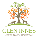 Glen Innes